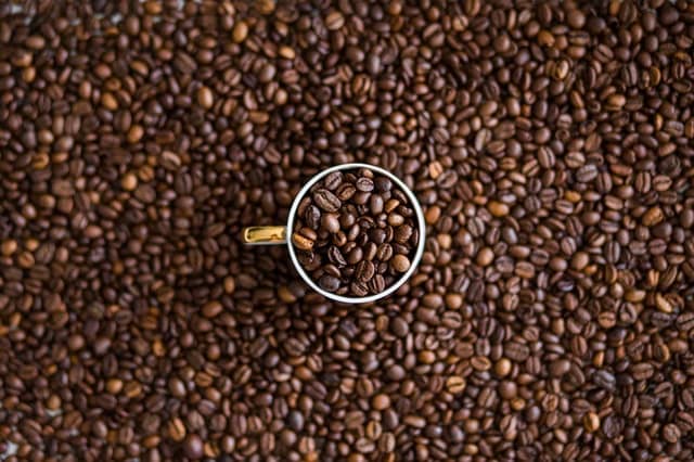 Робуста или арабика — какому кофе отдать предпочтение
